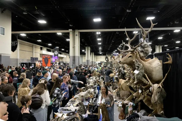 Illustration for Oddities & Curiosities Expo Brings the Strange to Philadelphia This Weekend